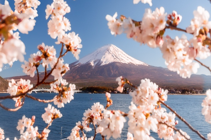 Japan — Cherry blossoms with traditional pagoda