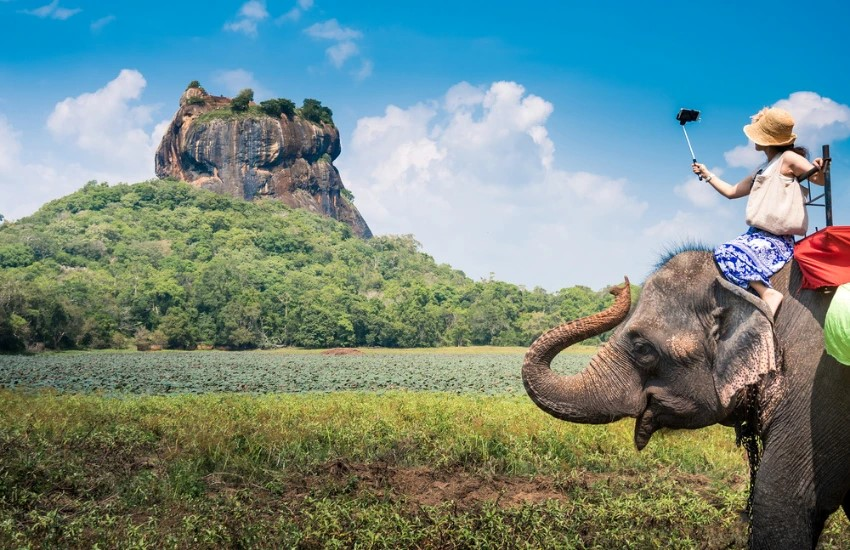 Sri Lanka — Cultural Triangle and tea plantations